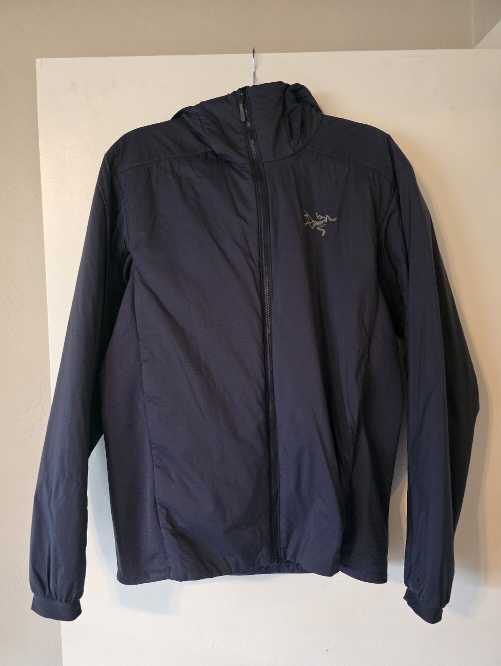 Arc'teryx Atom Hoody